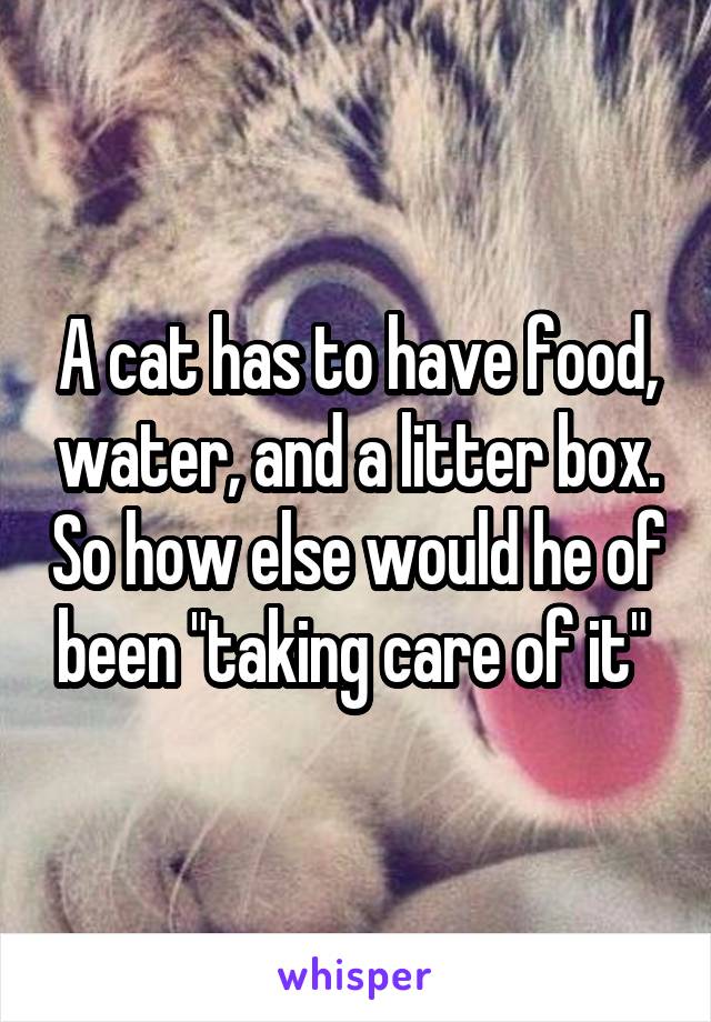 A cat has to have food, water, and a litter box. So how else would he of been "taking care of it" 