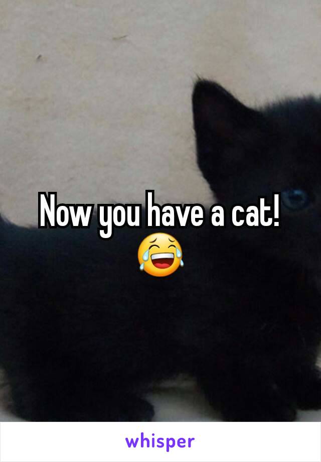 Now you have a cat! 😂