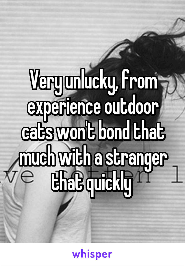 Very unlucky, from experience outdoor cats won't bond that much with a stranger that quickly 