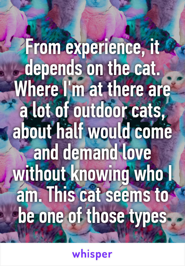 From experience, it depends on the cat. Where I'm at there are a lot of outdoor cats, about half would come and demand love without knowing who I am. This cat seems to be one of those types