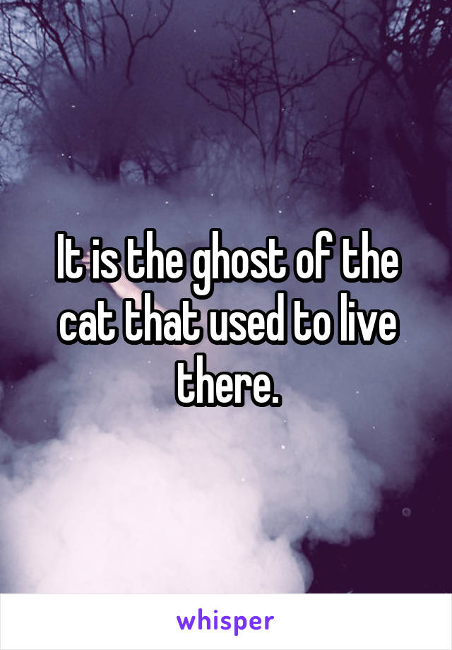 It is the ghost of the cat that used to live there.