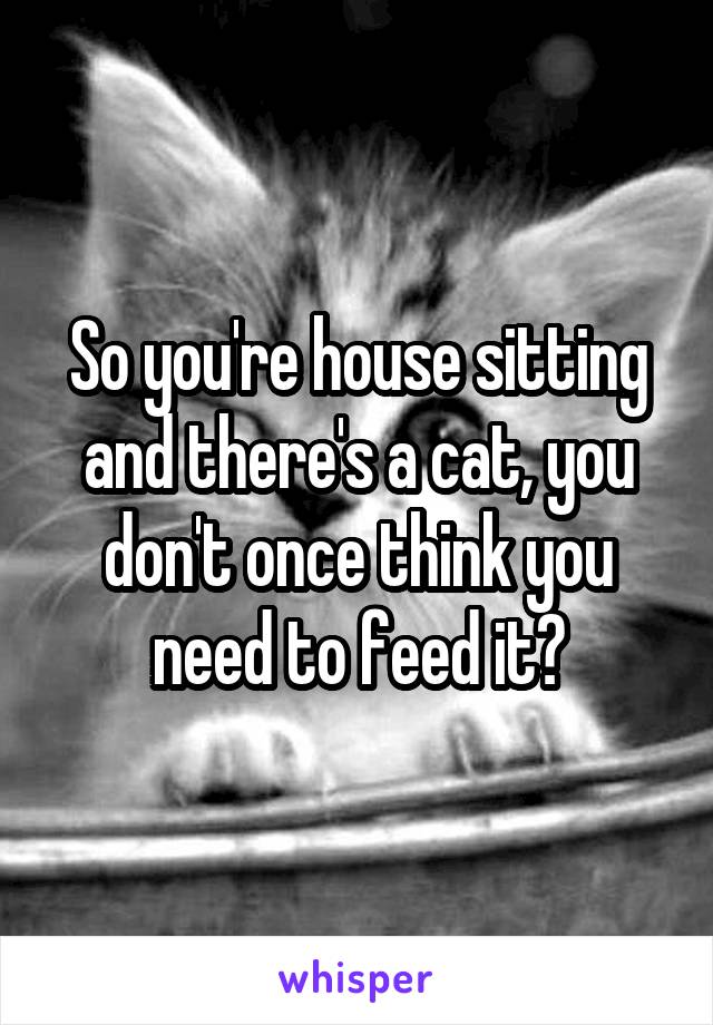 So you're house sitting and there's a cat, you don't once think you need to feed it?