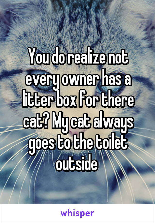 You do realize not every owner has a litter box for there cat? My cat always goes to the toilet outside 