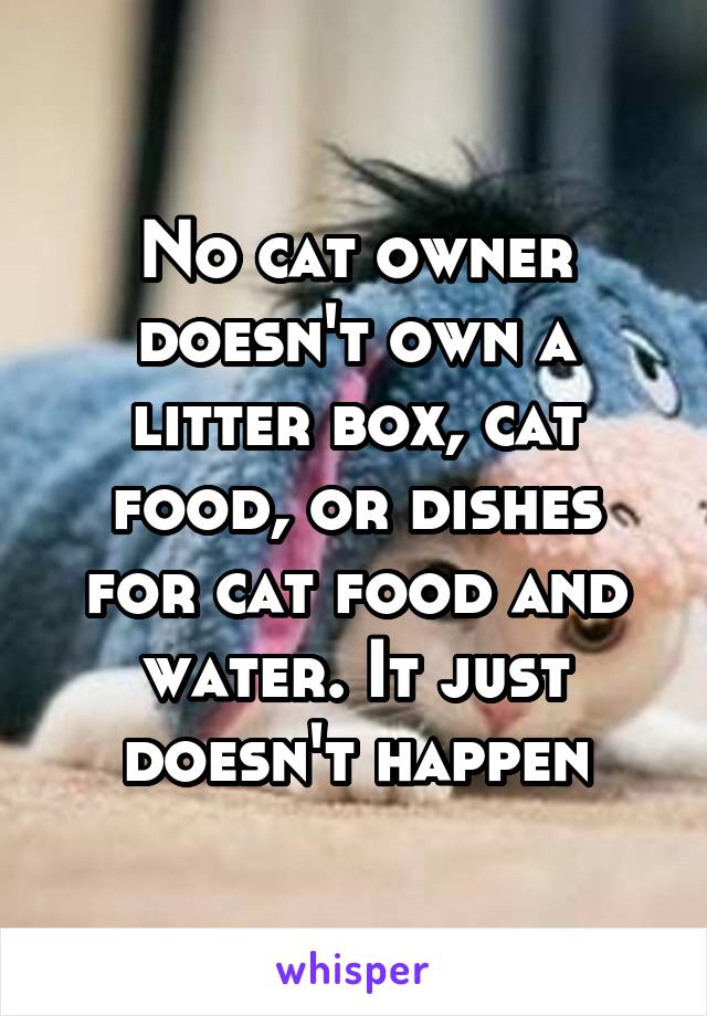 No cat owner doesn't own a litter box, cat food, or dishes for cat food and water. It just doesn't happen