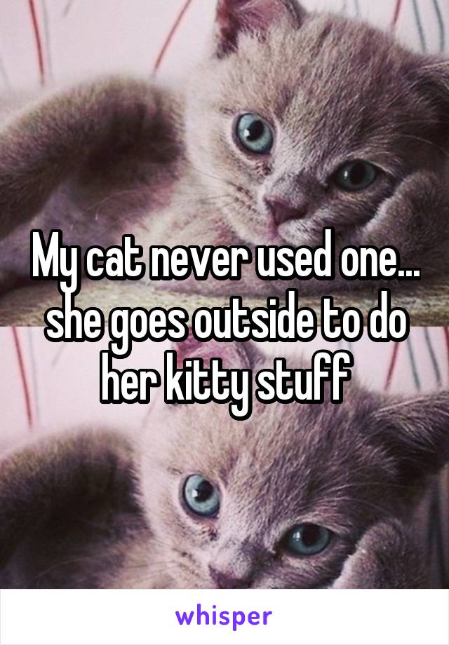 My cat never used one... she goes outside to do her kitty stuff