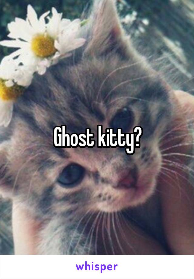 Ghost kitty?