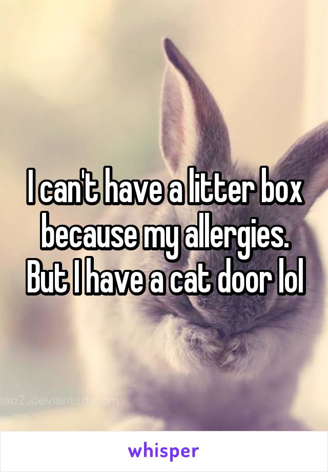 I can't have a litter box because my allergies. But I have a cat door lol