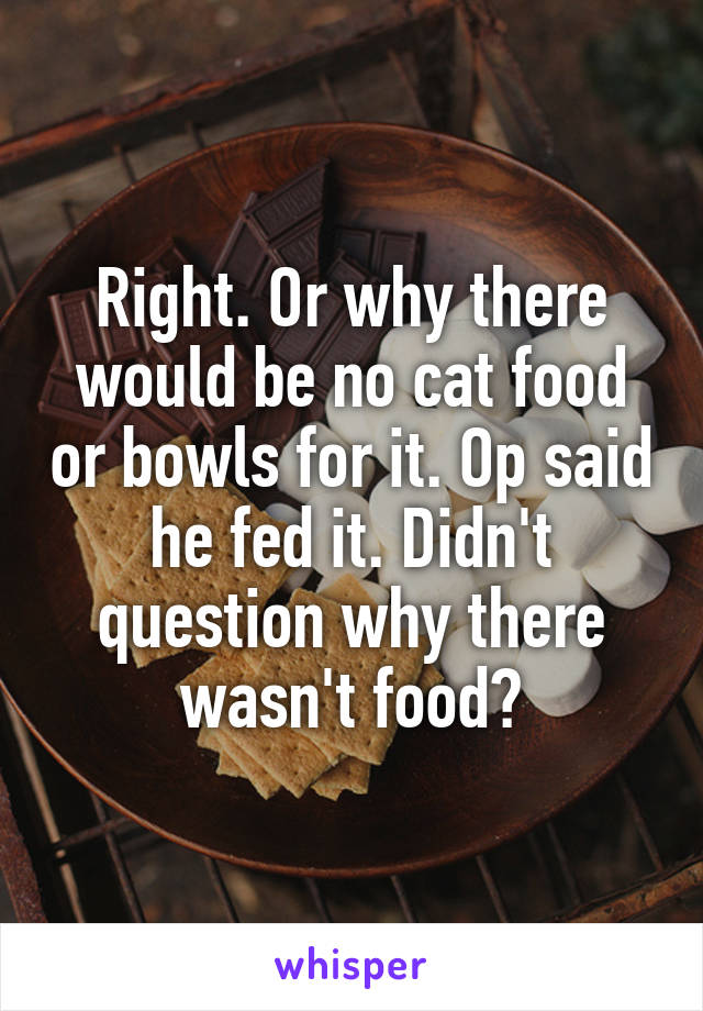 Right. Or why there would be no cat food or bowls for it. Op said he fed it. Didn't question why there wasn't food?