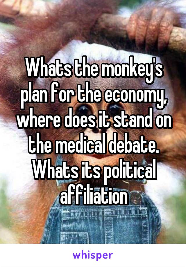Whats the monkey's plan for the economy, where does it stand on the medical debate. Whats its political affiliation