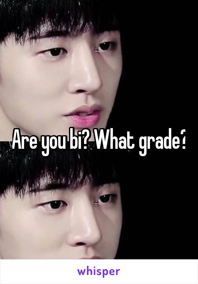 Are you bi? What grade?