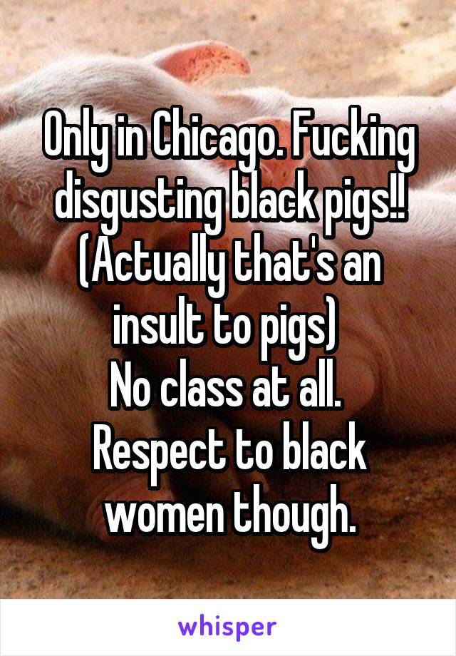 Only in Chicago. Fucking disgusting black pigs!!
(Actually that's an insult to pigs) 
No class at all. 
Respect to black women though.