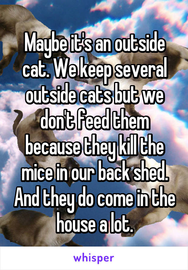 Maybe it's an outside cat. We keep several outside cats but we don't feed them because they kill the mice in our back shed. And they do come in the house a lot.