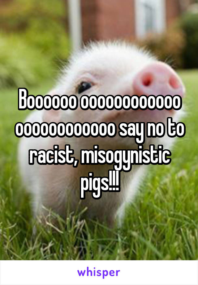 Boooooo oooooooooooo oooooooooooo say no to racist, misogynistic pigs!!!