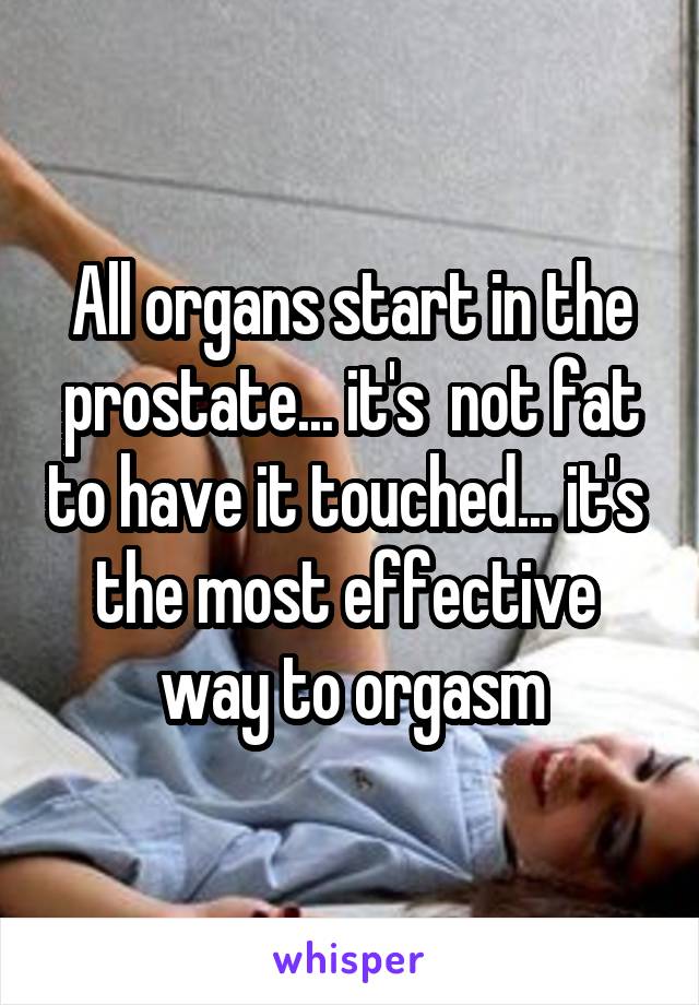 All organs start in the prostate... it's  not fat to have it touched... it's  the most effective  way to orgasm