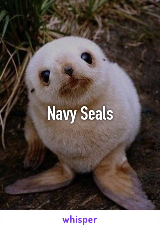 Navy Seals