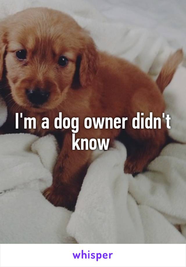 I'm a dog owner didn't know 