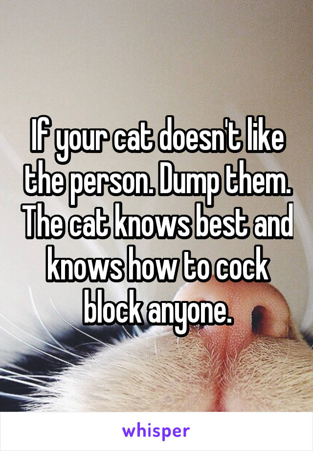 If your cat doesn't like the person. Dump them. The cat knows best and knows how to cock block anyone.