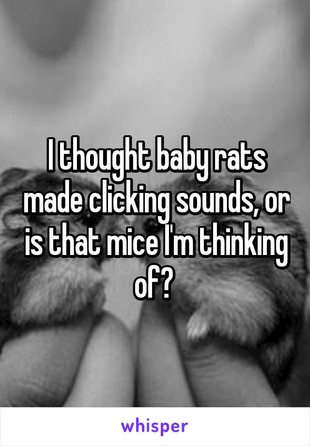 I thought baby rats made clicking sounds, or is that mice I'm thinking of? 