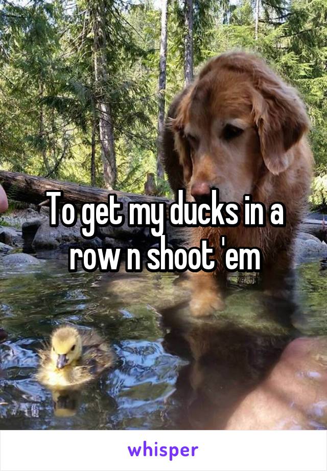 To get my ducks in a row n shoot 'em