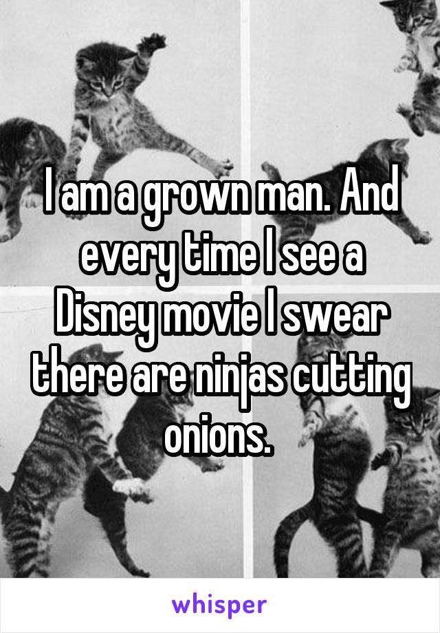 I am a grown man. And every time I see a Disney movie I swear there are ninjas cutting onions. 