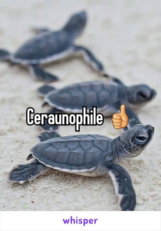 Ceraunophile 👍