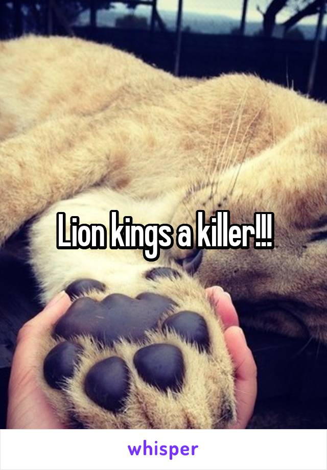 Lion kings a killer!!!