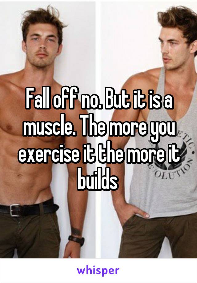 Fall off no. But it is a muscle. The more you exercise it the more it builds 