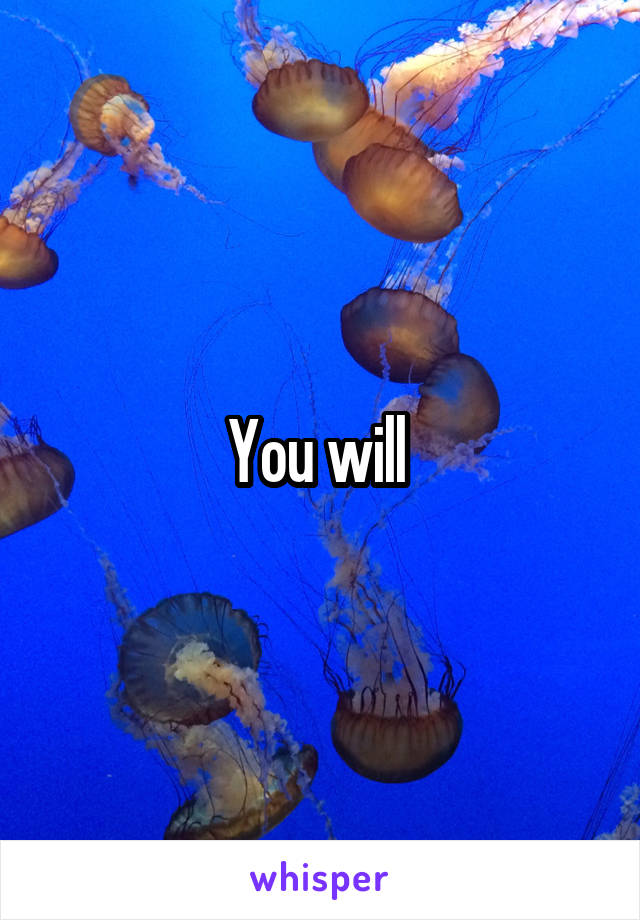 You will 