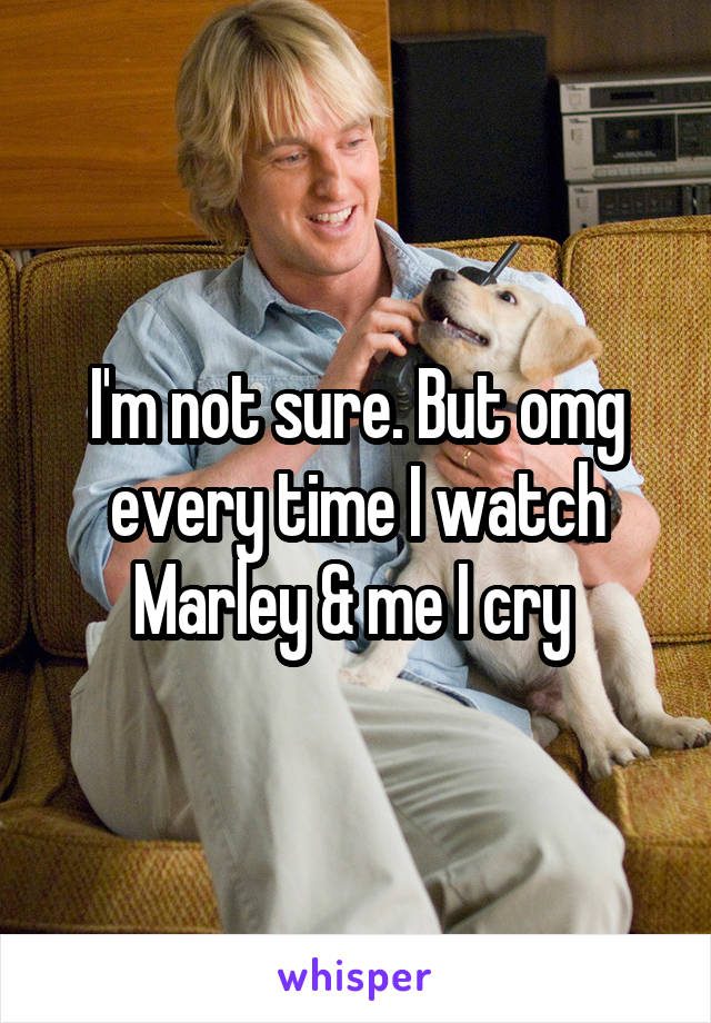 I'm not sure. But omg every time I watch Marley & me I cry 