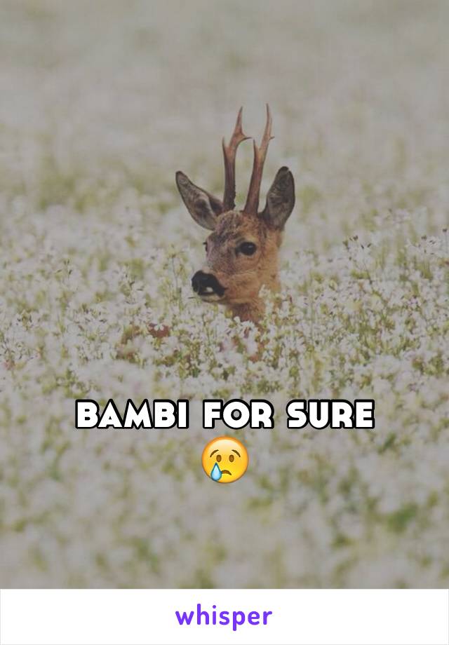 bambi for sure
😢