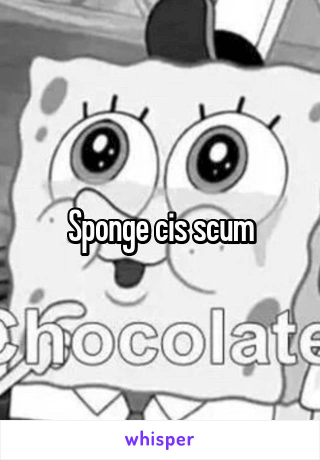 Sponge cis scum