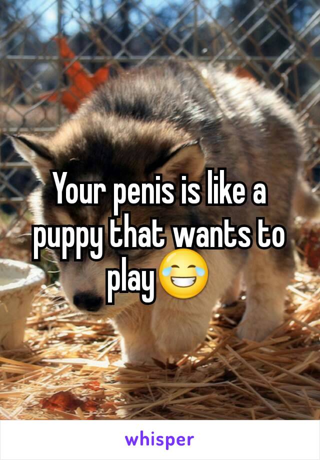 Your penis is like a puppy that wants to play😂