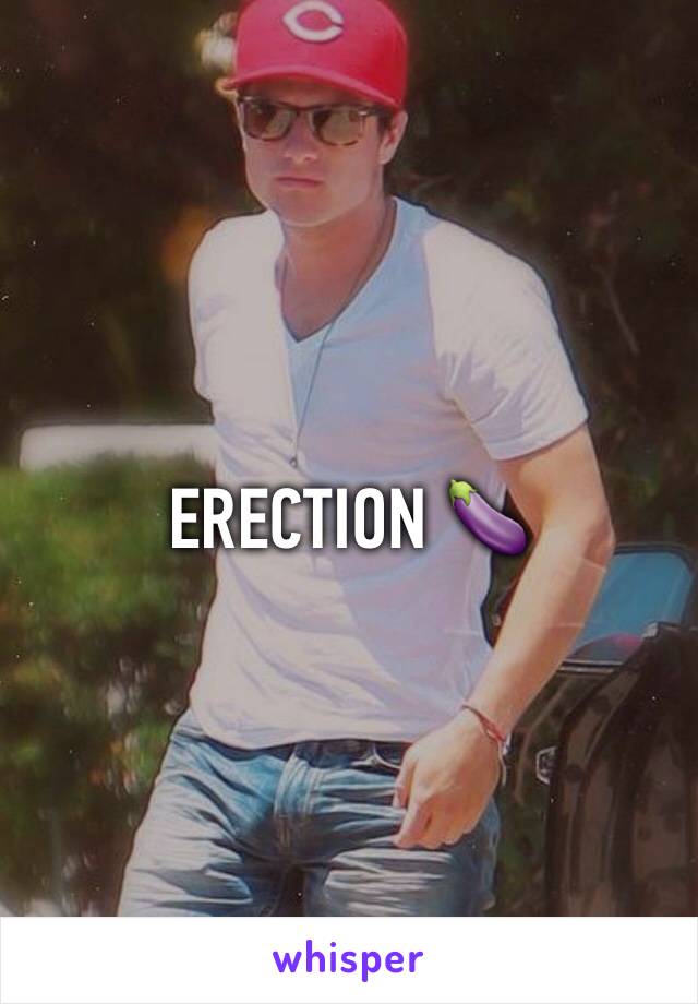 ERECTION 🍆