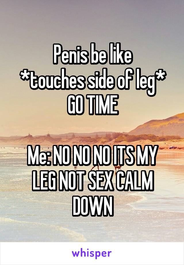 Penis be like
*touches side of leg*
GO TIME

Me: NO NO NO ITS MY LEG NOT SEX CALM DOWN