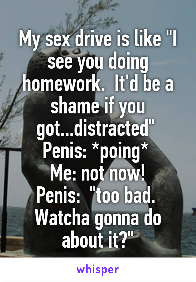 My sex drive is like "I see you doing homework.  It'd be a shame if you got...distracted" 
Penis: *poing* 
Me: not now!
Penis:  "too bad.  Watcha gonna do about it?"