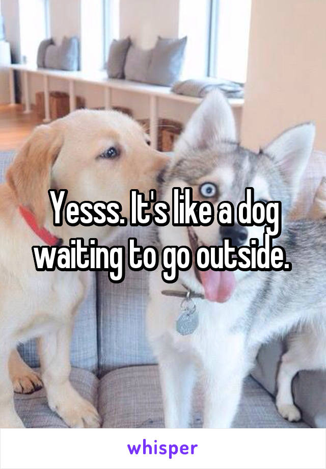 Yesss. It's like a dog waiting to go outside. 