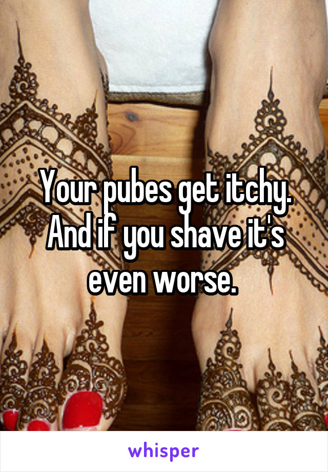 Your pubes get itchy. And if you shave it's even worse. 