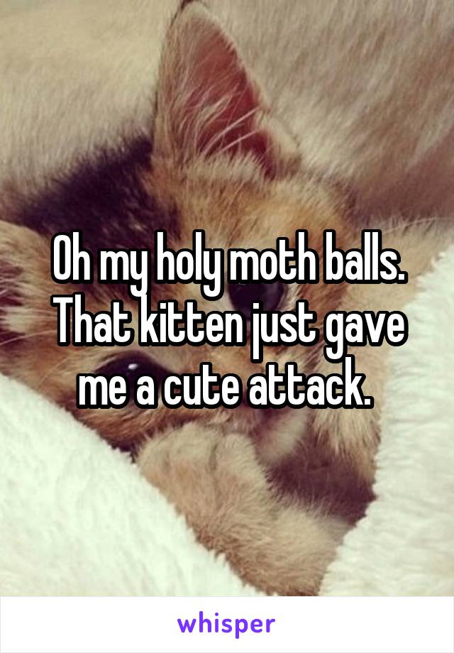 Oh my holy moth balls. That kitten just gave me a cute attack. 