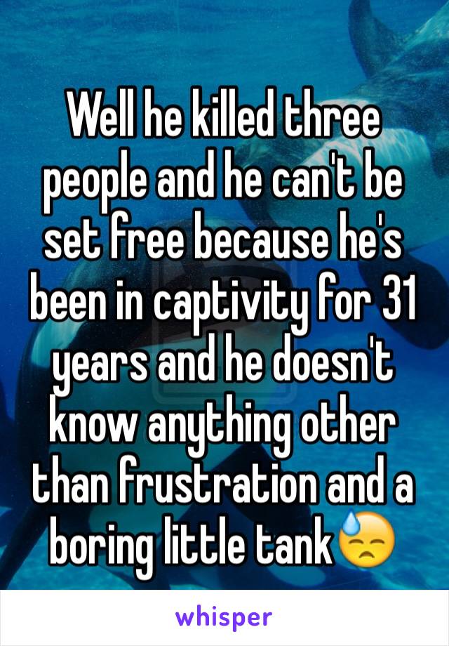 Well he killed three people and he can't be set free because he's been in captivity for 31 years and he doesn't know anything other than frustration and a boring little tank😓