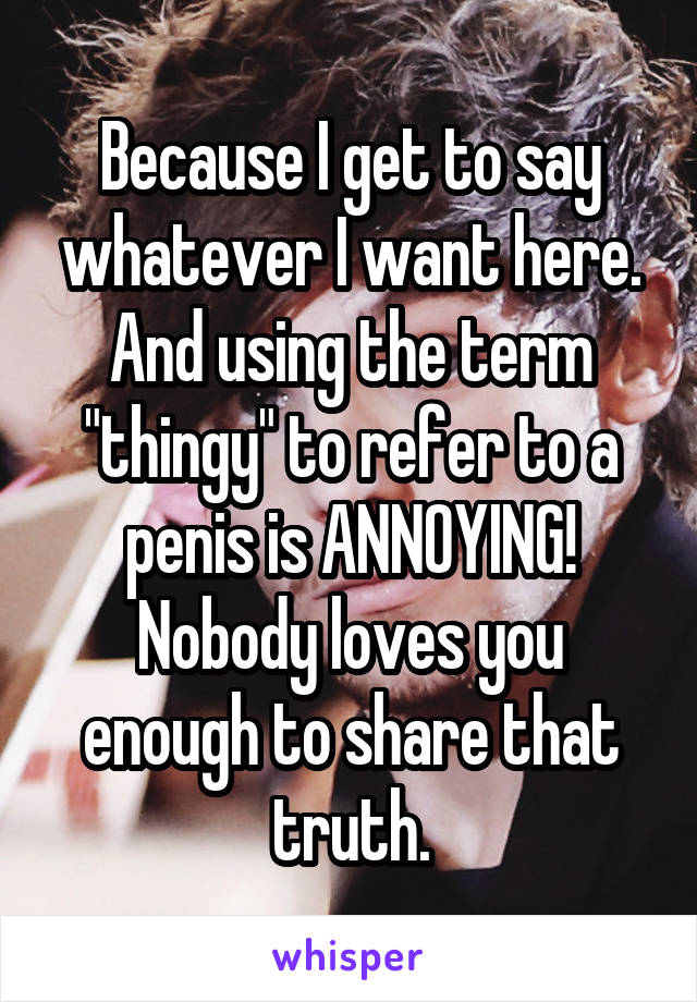 Because I get to say whatever I want here. And using the term "thingy" to refer to a penis is ANNOYING! Nobody loves you enough to share that truth.