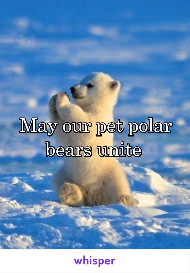 May our pet polar bears unite 