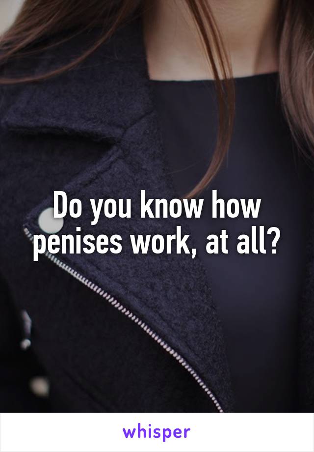 Do you know how penises work, at all?