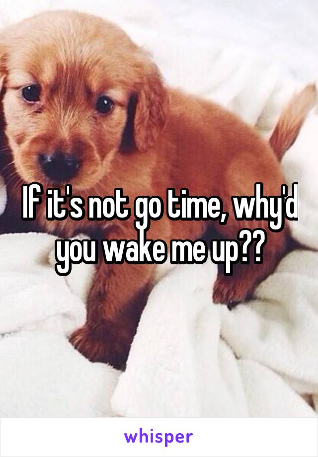 If it's not go time, why'd you wake me up??