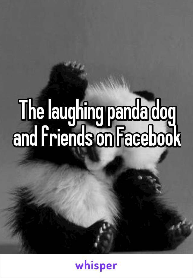 The laughing panda dog and friends on Facebook 