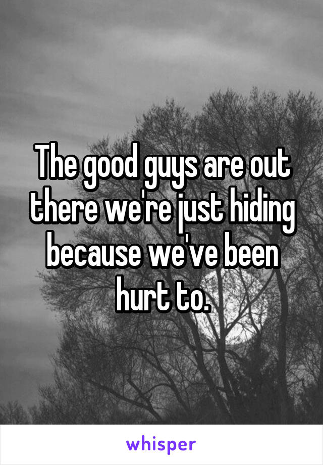 The good guys are out there we're just hiding because we've been hurt to.