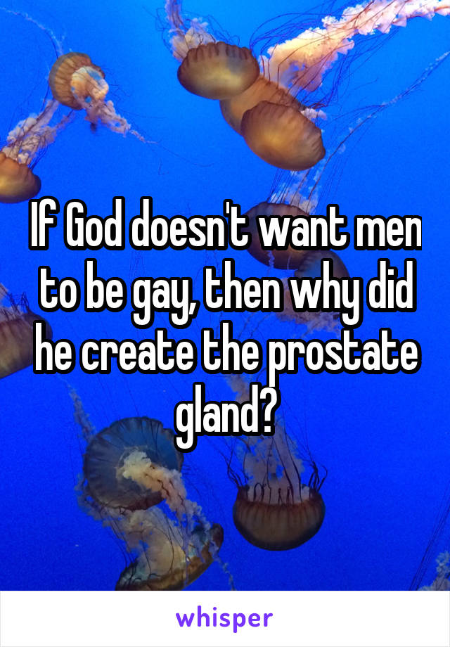 If God doesn't want men to be gay, then why did he create the prostate gland?