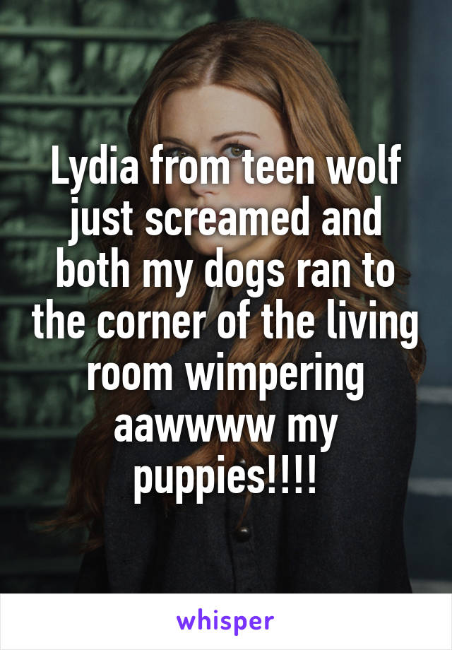 Lydia from teen wolf just screamed and both my dogs ran to the corner of the living room wimpering aawwww my puppies!!!!