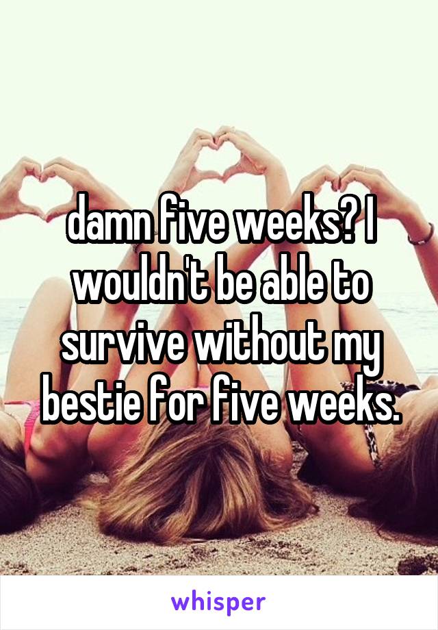 damn five weeks? I wouldn't be able to survive without my bestie for five weeks.