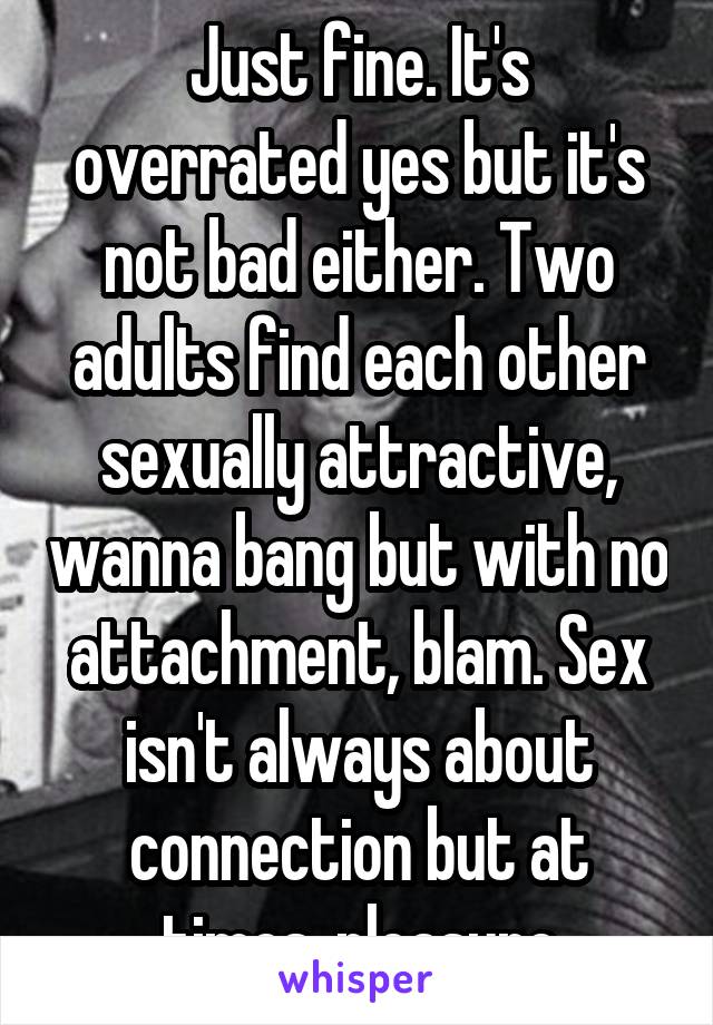 Just fine. It's overrated yes but it's not bad either. Two adults find each other sexually attractive, wanna bang but with no attachment, blam. Sex isn't always about connection but at times, pleasure