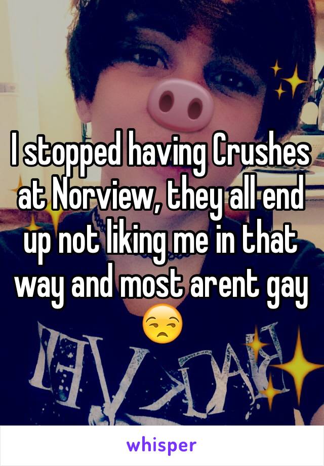 I stopped having Crushes at Norview, they all end up not liking me in that way and most arent gay 😒